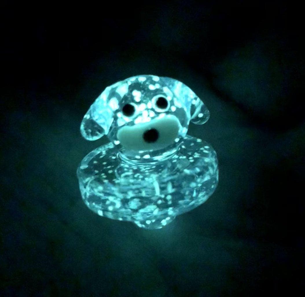 Animal Carb Caps