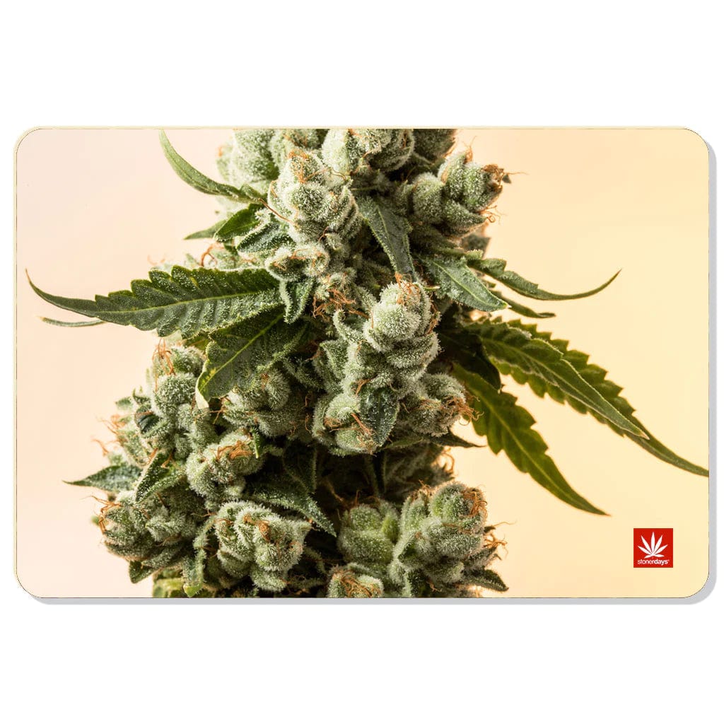 Stonerdays Rectangular Dab Mats