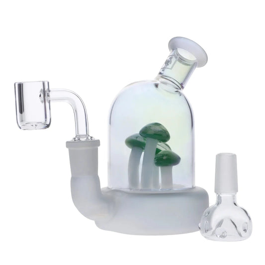 DHC Originals Mushroom Terrarium Bong