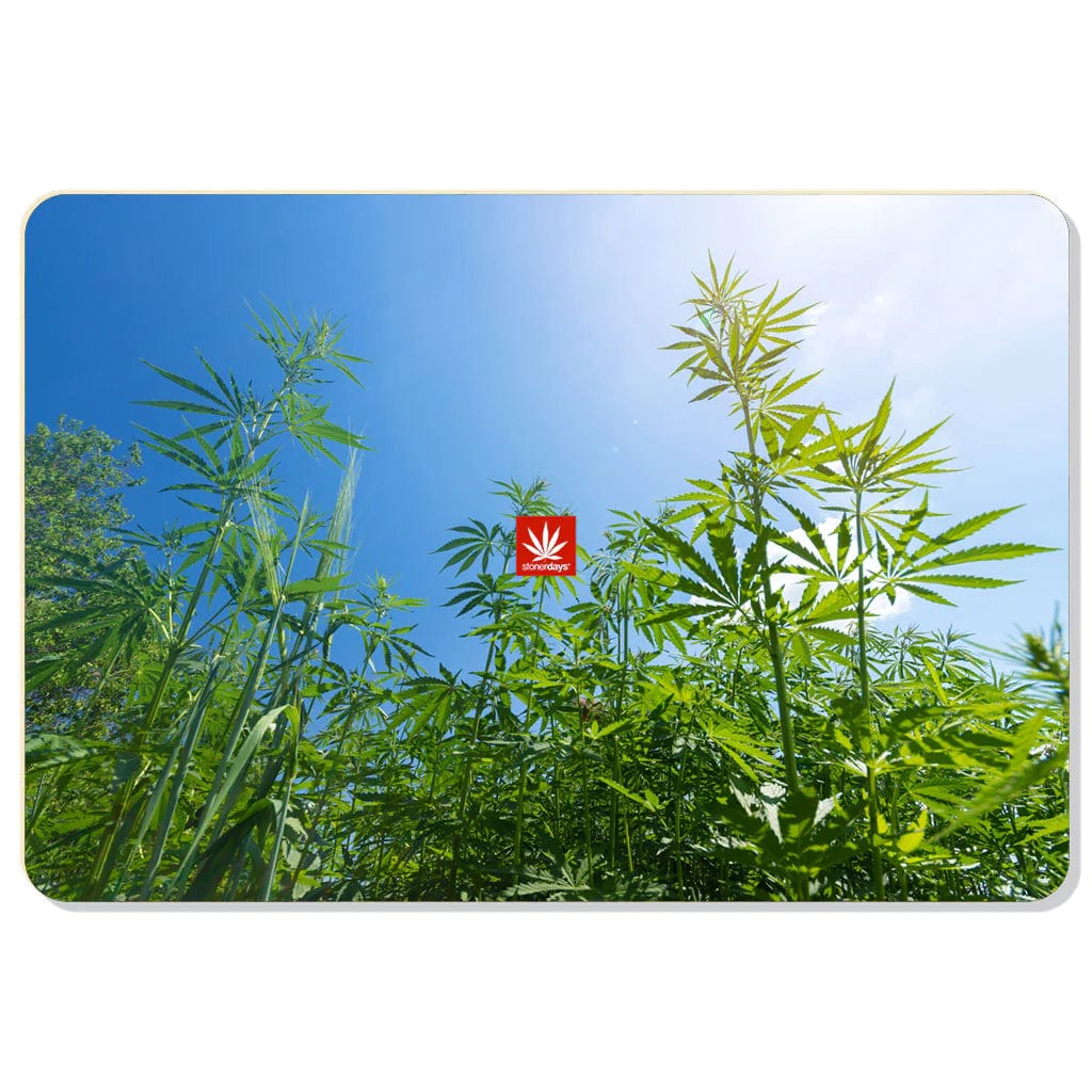 Stonerdays Rectangular Dab Mats