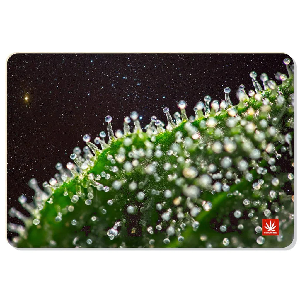 Stonerdays Rectangular Dab Mats