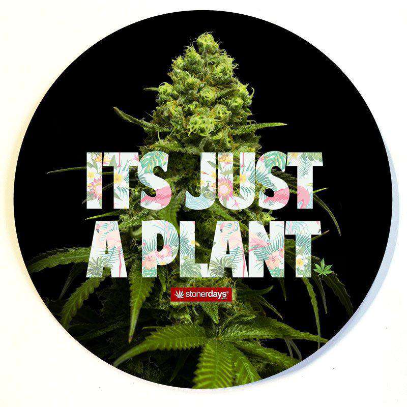 Stonerdays Round Dab Mats