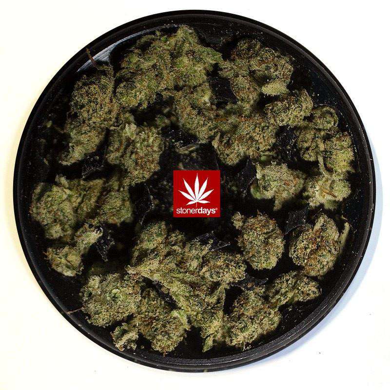 Stonerdays Round Dab Mats