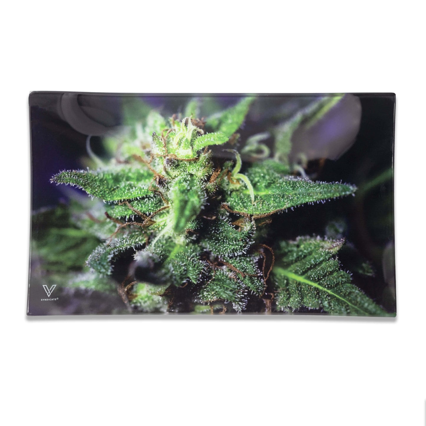 V-Syndicate Glass Rolling Trays
