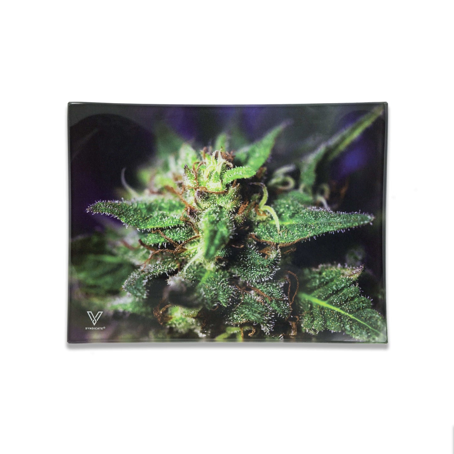 V-Syndicate Glass Rolling Trays