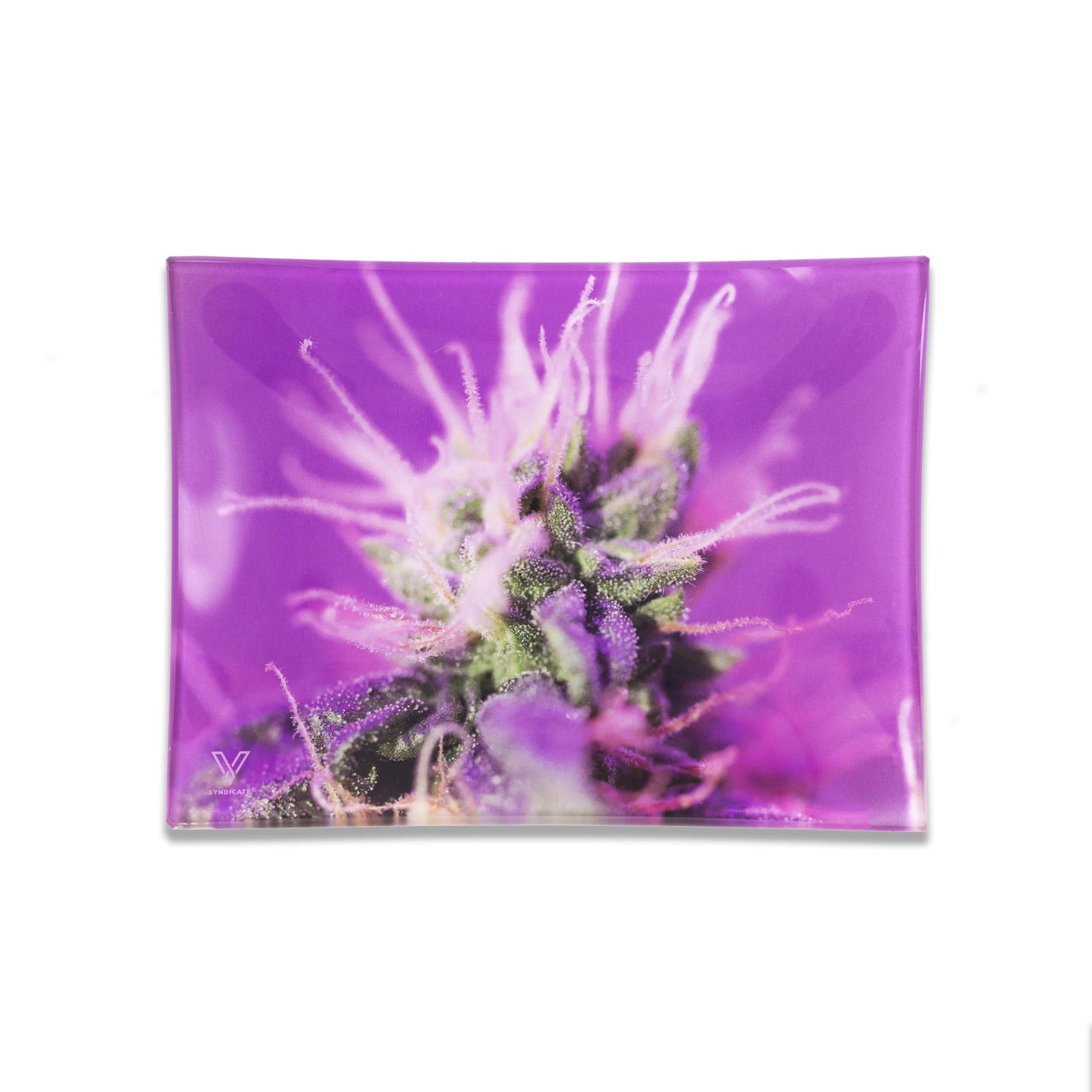 V-Syndicate Glass Rolling Trays